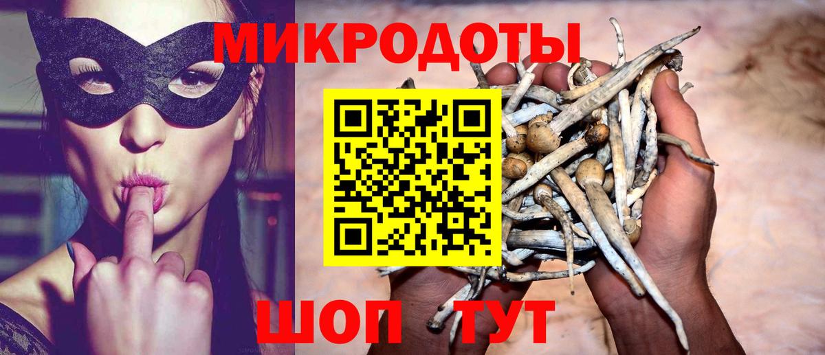 Псилоцибиновые грибы Psilocybine cubensis Джанкой