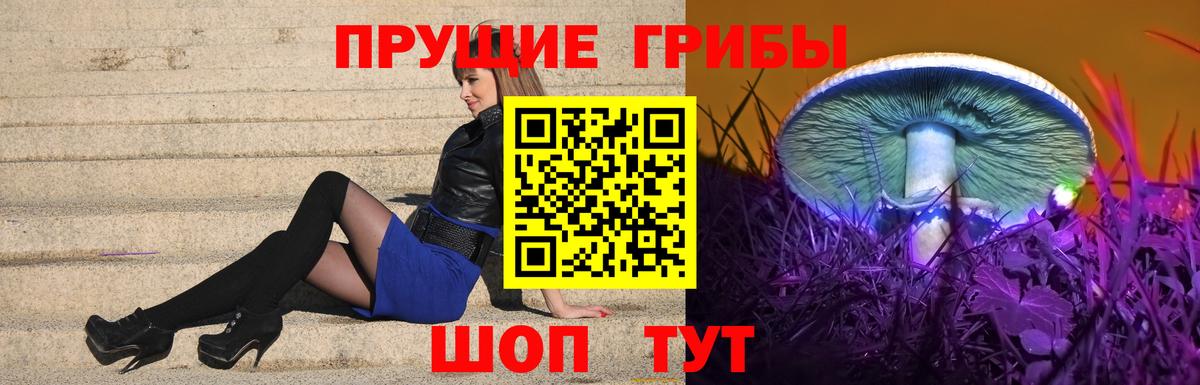 Псилоцибиновые грибы GOLDEN TEACHER  цена   Джанкой  Вход с VPN 